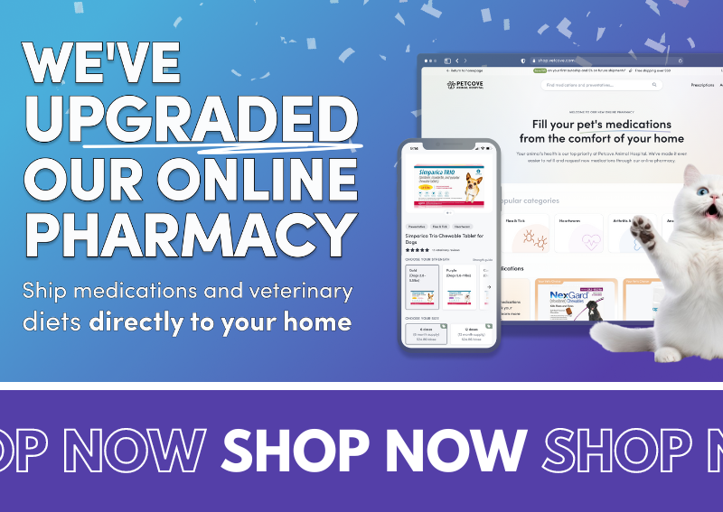 Carousel Slide 1: Shop Our Online Pharmacy>